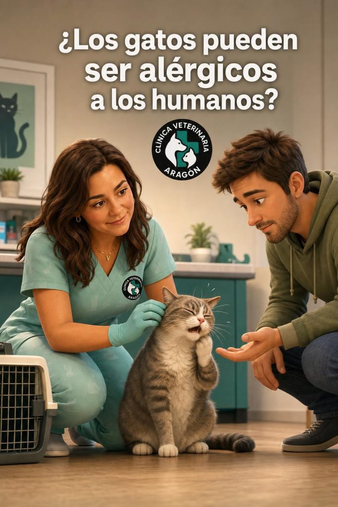 ¿Los gatos pueden ser alérgicos a los humanos? Causas y señales
